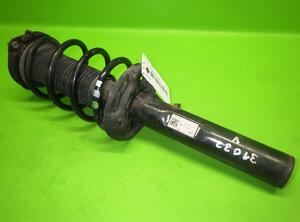 Suspension Strut AUDI Q3 (8UB, 8UG)