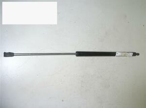 Gas Spring RENAULT Laguna I (556, B56)