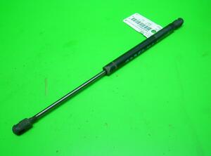 Gas Spring AUDI A8 (4D2, 4D8), VW Sharan (7M6, 7M8, 7M9)