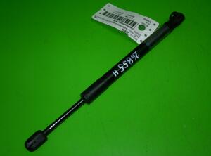 Gas Spring AUDI A4 (8EC, B7)