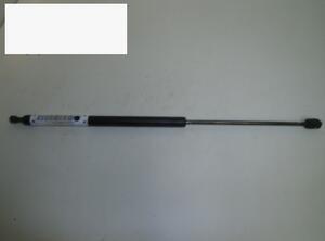 Gas Spring ROVER 800 (XS)