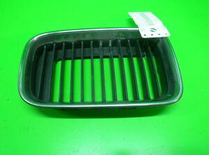 Radiator Grille BMW 3er Compact (E36)