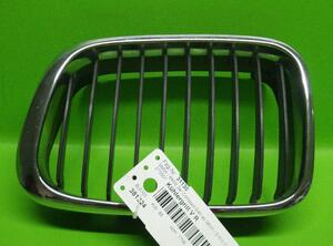Radiator Grille BMW 3er Compact (E46)