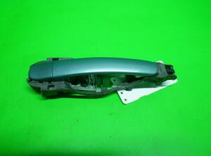 Door Handle VW Passat (3B2)