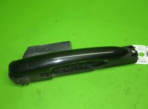 Door Handle NISSAN Primera Kombi (WP12)