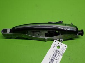 Door Handle CITROËN C3 Picasso (--)