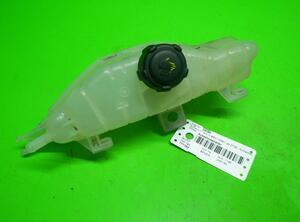 Coolant Expansion Tank RENAULT Clio III (BR0/1, CR0/1)