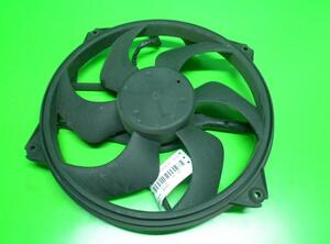 Radiator Electric Fan  Motor PEUGEOT 307 (3A/C)