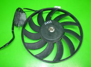Radiator Electric Fan  Motor AUDI A4 (8EC, B7)