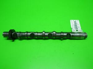 Camshaft AUDI A4 Cabriolet (8H7, 8HE, B6, B7), AUDI A4 Allroad (8KH, B8), AUDI A4 Avant (8K5, B8)