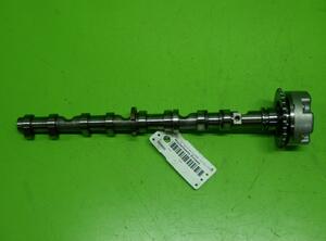 Camshaft AUDI Q7 (4LB)