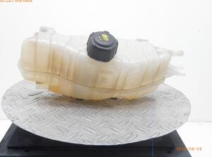 Coolant Expansion Tank RENAULT CLIO III (BR0/1, CR0/1)