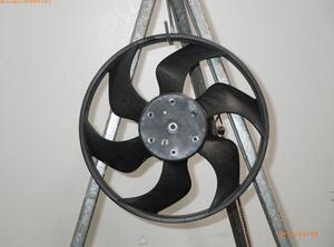 Radiator Electric Fan  Motor RENAULT Twingo II (CN0)
