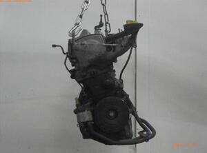 Motor kaal RENAULT CLIO III (BR0/1, CR0/1)