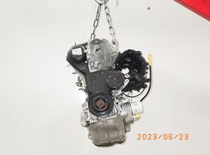 Bare Engine FORD Ecosport (--)