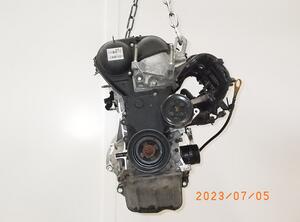 5335451 Motor ohne Anbauteile (Benzin) FORD Fiesta VI SNJB