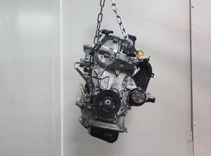 5316401 Motor ohne Anbauteile (Benzin) KIA Picanto (JA) G3LA / 25WE