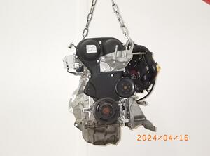 5343460 Motor ohne Anbauteile (Benzin) FORD Focus II (DA, DP, HCP) SHDA