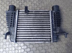 Turbolader RENAULT Clio III (BR0/1, CR0/1)