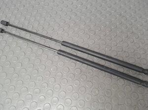 Bootlid (Tailgate) Gas Strut Spring FORD Focus C-Max (--)
