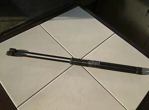 Bootlid (Tailgate) Gas Strut Spring VW Golf III Variant (1H5)