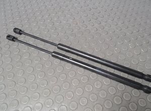 Bootlid (Tailgate) Gas Strut Spring AUDI TT (8J3)