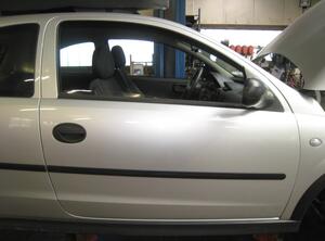 Trim Strip Door OPEL Corsa C (F08, F68)