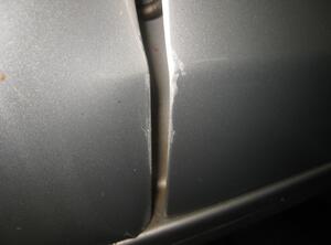 TÜR VORN LINKS (4/5-Türer) (Tür vorn) VW Polo Benzin (9 N) 1198 ccm 47 KW 2005&gt;2007
