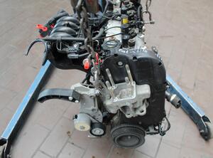 MOTOR ( 188A5000 ) (Motor) Fiat Stilo Benzin (192) 1242 ccm 59 KW 2003&gt;2004