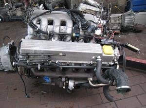 MOTOR 25DT (Motor) Opel Omega Diesel (B) 2497 ccm 96 KW 1994&gt;1998
