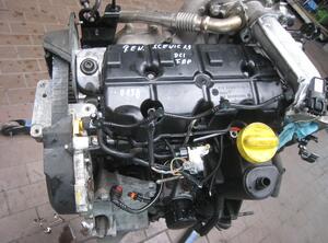 MOTOR F8Q816 (Motor) Renault Scenic Diesel (JM) 1870 ccm 96 KW 2008&gt;2009