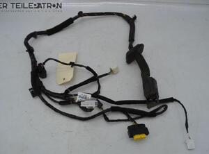 Wiring Harness HYUNDAI i10 (BA, IA)