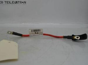 Kabelbaum Pluskabel Kabel Stecker JAGUAR XF (_J05_  CC9) 3.0 D 177 KW