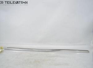 Door Seal BMW 5er (E39)