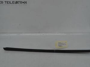 Door Seal MERCEDES-BENZ S-Klasse (W220)