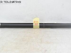 Door Seal JAGUAR S-Type (X200)