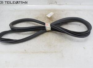 Door Seal HONDA Accord VII (CL, CN)