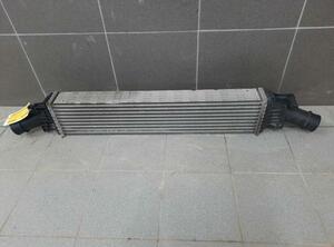 Intercooler AUDI A4 Avant (8K5, B8), AUDI A4 (8K2, B8), AUDI A5 Sportback (8TA)