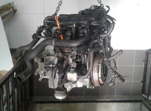 P10582862 Motor ohne Anbauteile (Diesel) VW Passat (3B2, B5)