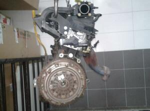 P12151147 Motor ohne Anbauteile (Benzin) RENAULT Clio III (BR0/1, CR0/1)