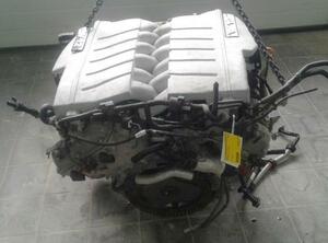 P15560694 Motor ohne Anbauteile (Benzin) VW Phaeton (3D) 07C100031BX