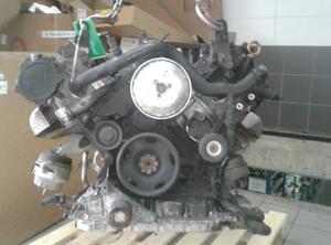 Bare Engine AUDI A6 (4F2, C6)