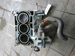 P17981303 Motor ohne Anbauteile (Benzin) DACIA Sandero II (SD) 110106418R