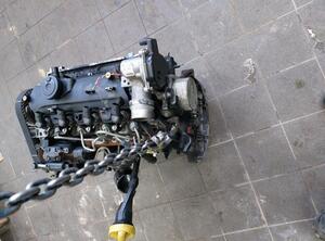 P19609567 Motor ohne Anbauteile (Diesel) NISSAN Juke (F15) 1010200Q4R