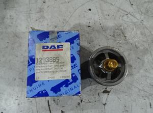 Thermostat DAF 95 XF Original DAF 1293885