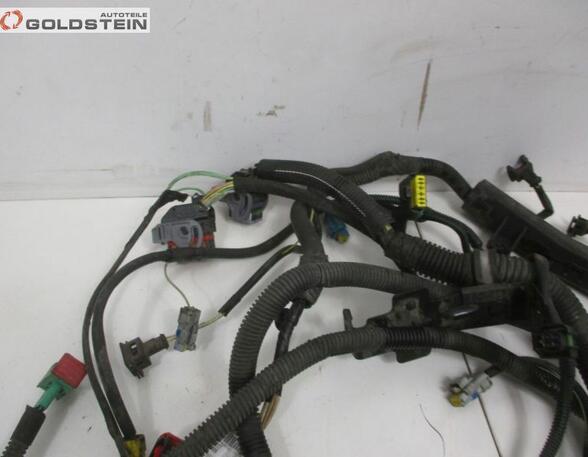 Kabel Motor Motorkabelbaum RFN EW10J4 CITROEN C8 (EA_  EB_) 2.0 100 KW
