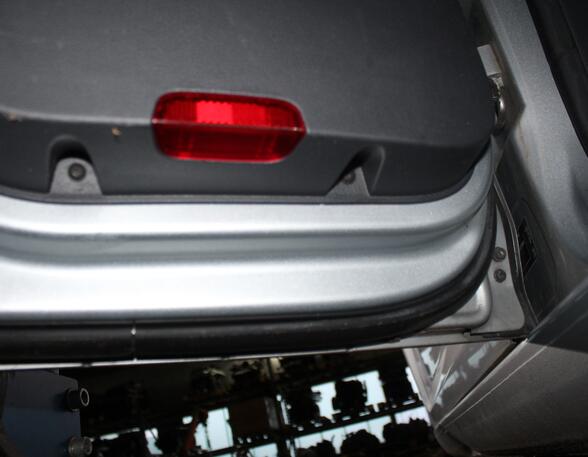 Sierpaneel deurruit VW Golf Plus (521, 5M1)