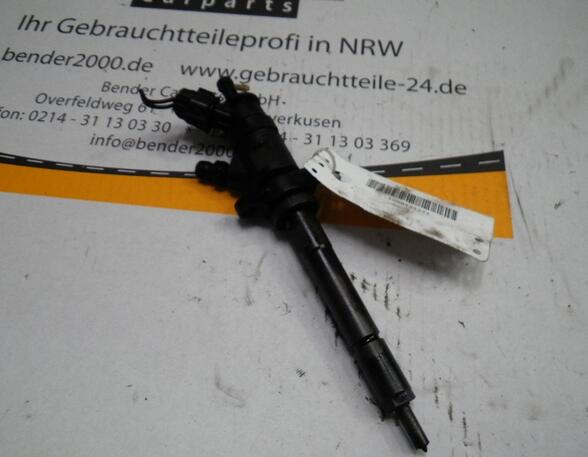 Injector Nozzle CITROËN C3 II (SC)