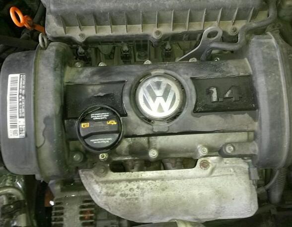 Motor ohne Anbauteile Kompression wurde geprüft siehe Photo VW GOLF V (1K1) 1.4 16V 59 KW