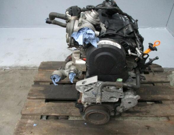 Motor (Diesel) Engine BRU VW GOLF V (1K1) 1.9 TDI 66 KW
